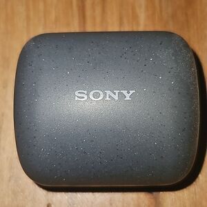 Sony LinkBuds True Wireless Bluetooth Earbuds - Gray - 